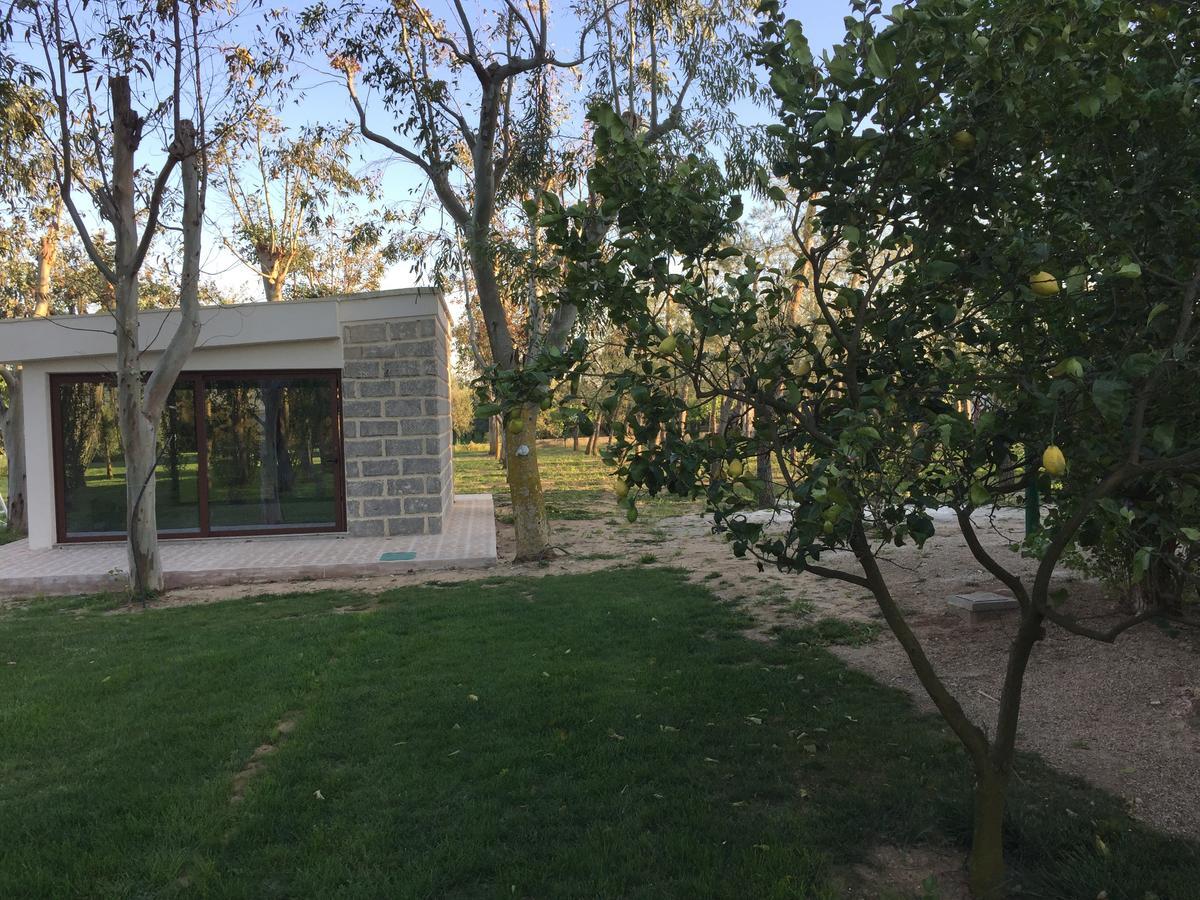 特塔莫那卡拉姆瑞住宿加早餐旅馆 Carmiano  外观 照片